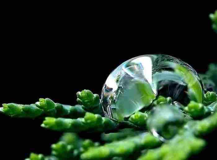 在这凉薄的世界里深情的活着这句话的意思