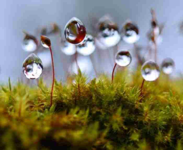 在这凉薄的世界里深情的活着这句话的意思