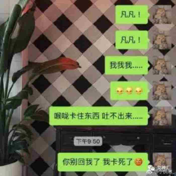 撩男朋友的土味情话大全 日常撩男朋友聊天对话