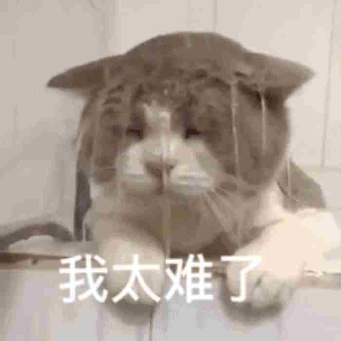 花儿乐队 花儿乐队还有吗