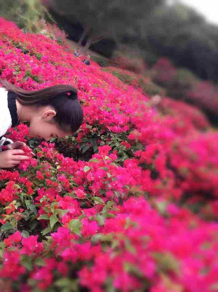 喜获爱情:一个职场菜鸟的励志故事(三)