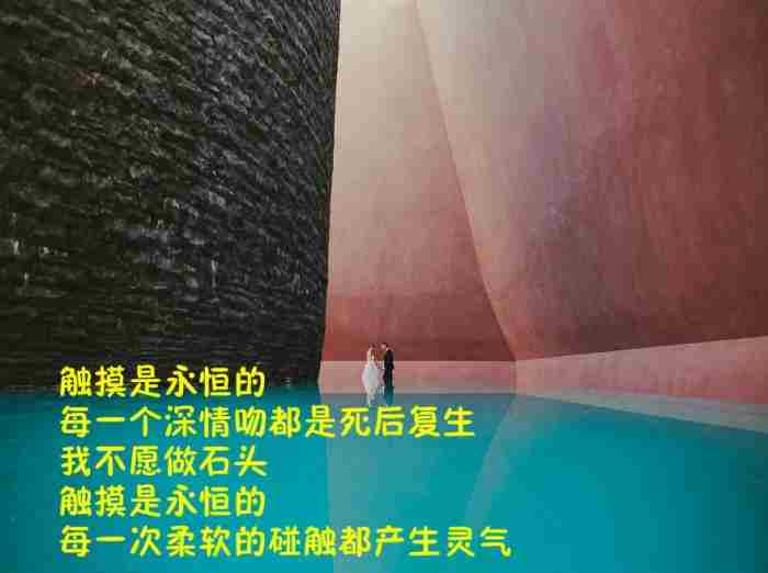 爱情名句语录100句精选 爱情的句子唯美短句