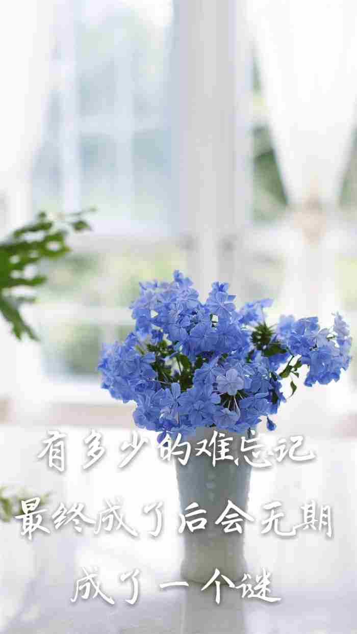 爱情是个意外 爱情是一场美丽的意外