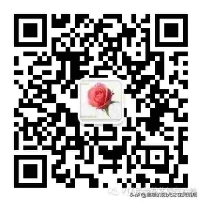  情人节和白色情人节有什么区别