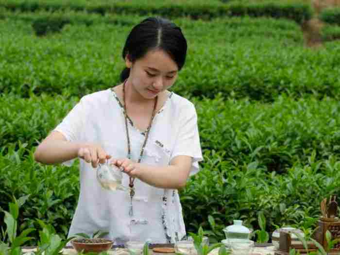 茶叶女什么意思 什么是茶女