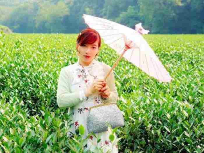 茶叶女什么意思 什么是茶女