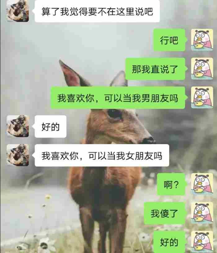告白头像 对一个人表达爱的图片