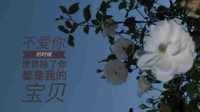 恢复单身的句子说说心情 委婉表白暗示语句