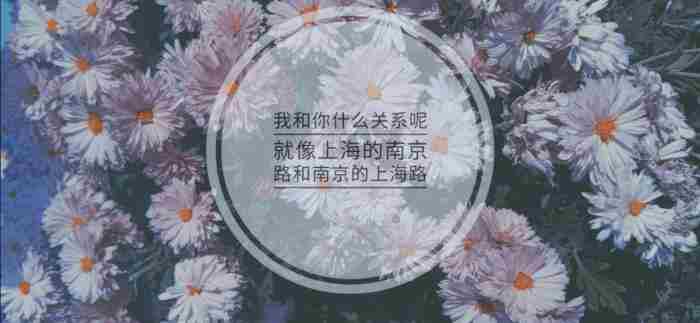 恢复单身的句子说说心情 委婉表白暗示语句