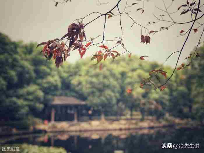 安慰人的暖心句子(精选160句)