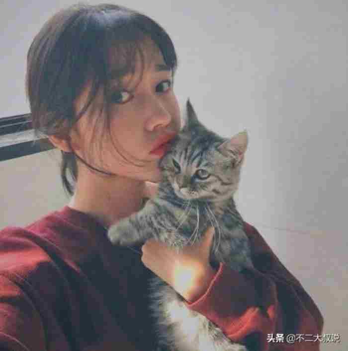 有没有一些可爱又沙雕的句子 可爱到爆炸的句子