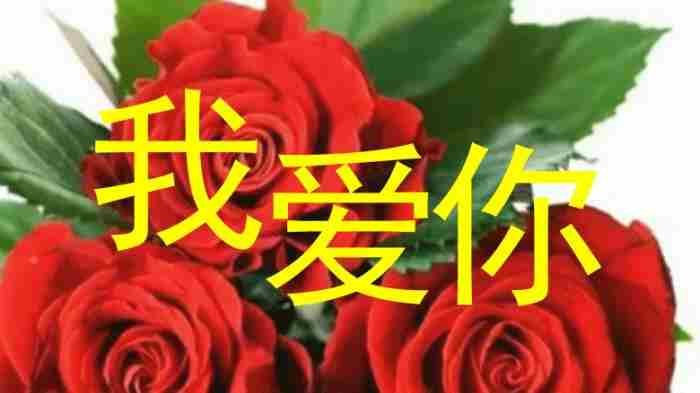 发给情人的暖心句子(精选265句)