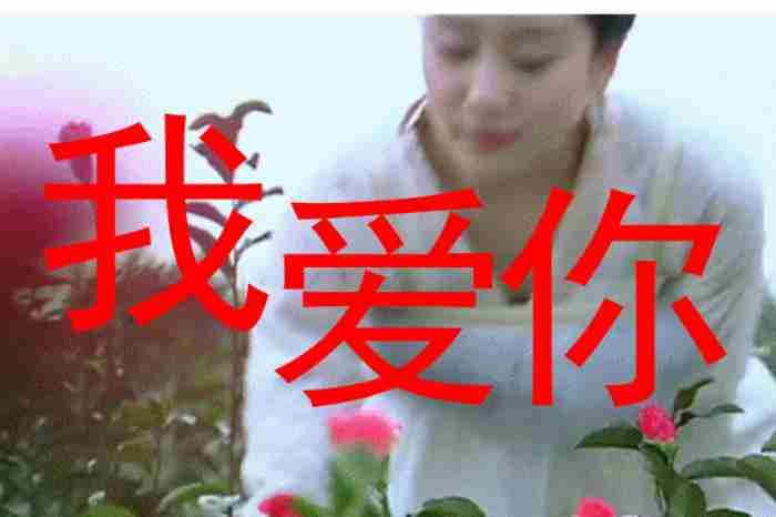 发给情人的暖心句子(精选265句)