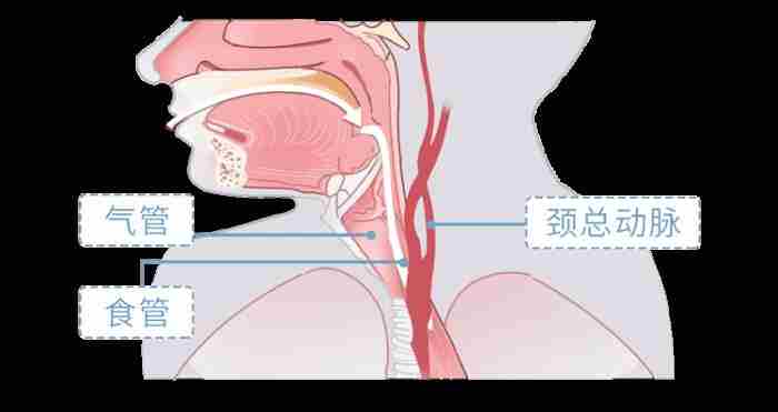 男生的喉结为什么不能摸?如果男朋友让你碰