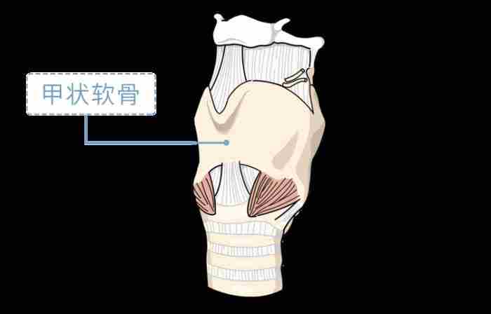 男生的喉结为什么不能摸?如果男朋友让你碰