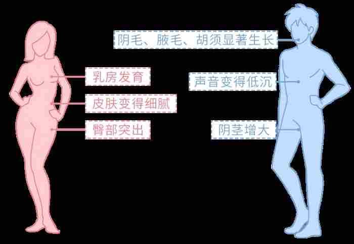 男生的喉结为什么不能摸?如果男朋友让你碰
