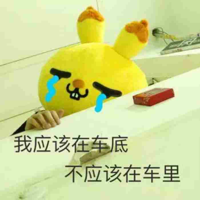 关于强迫症 考验男友的十大问题