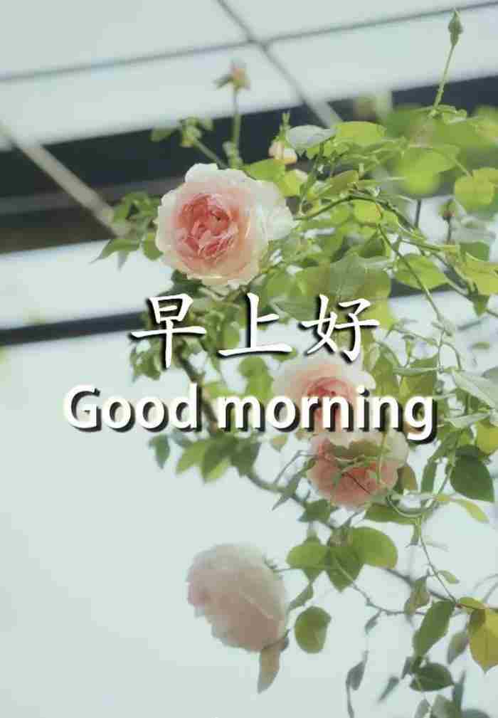 送给情人的早安问候语(精选185句)