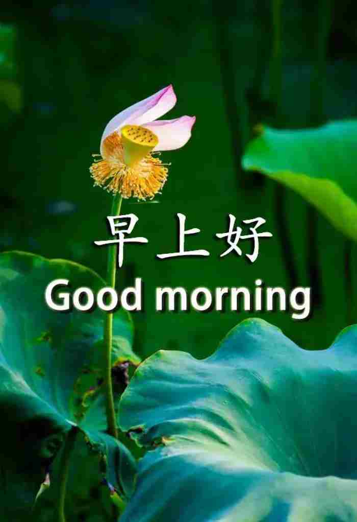 送给情人的早安问候语(精选185句)