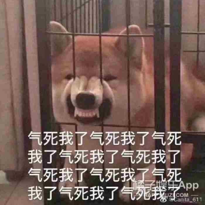 钢铁直女在恋综里当对照组几冬 什么男生喜欢钢铁直女