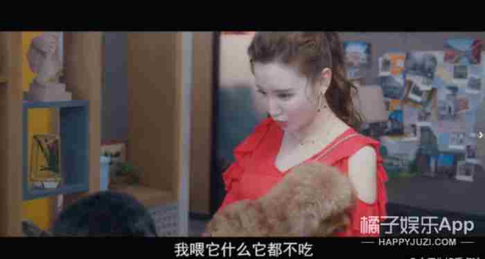 钢铁直女在恋综里当对照组几冬 什么男生喜欢钢铁直女