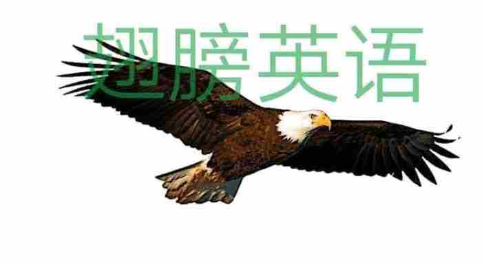 陪伴是最长情的告白