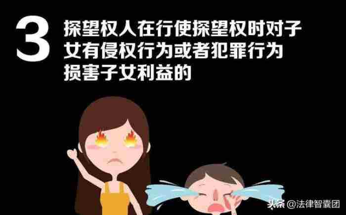 探视权判决后的执行是否可以强制进行