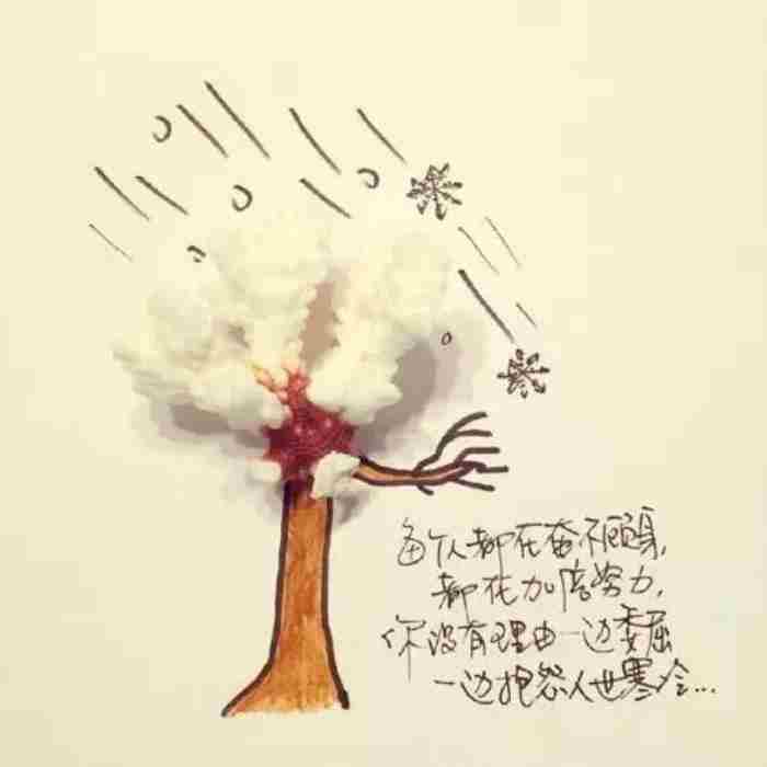 什么是独立女性? 坚强独立女人个性签名