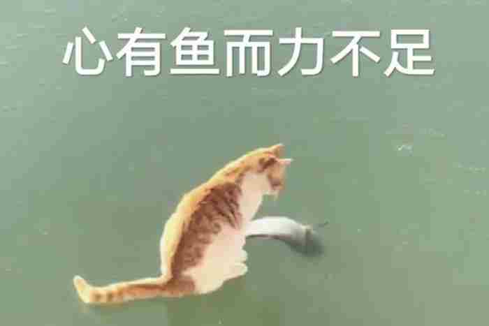 为什么分手后对方还留着你的联系方式但又不和你复合?