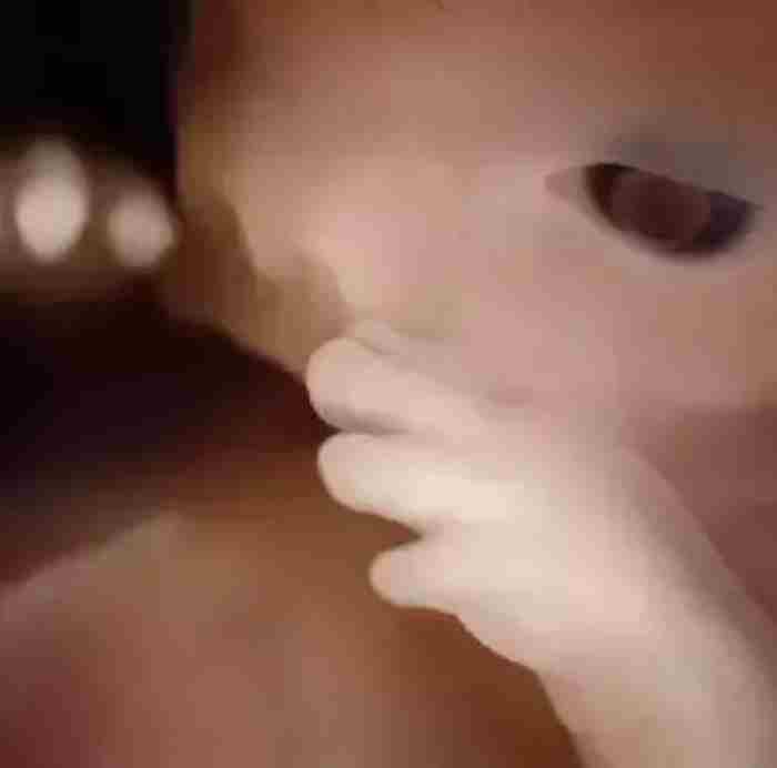 精子是如何变成婴儿的?人类诞生的全过程