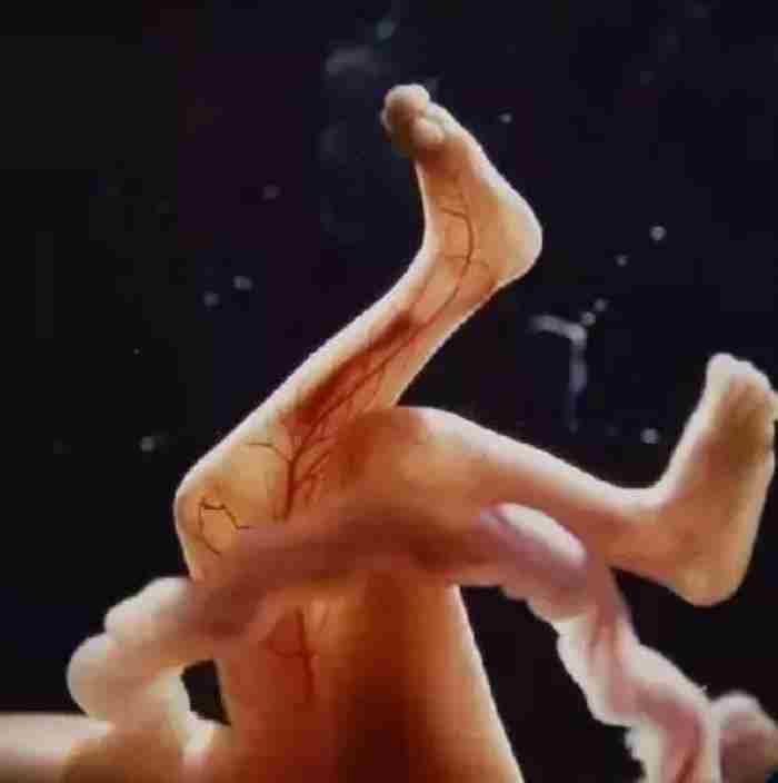 精子是如何变成婴儿的?人类诞生的全过程
