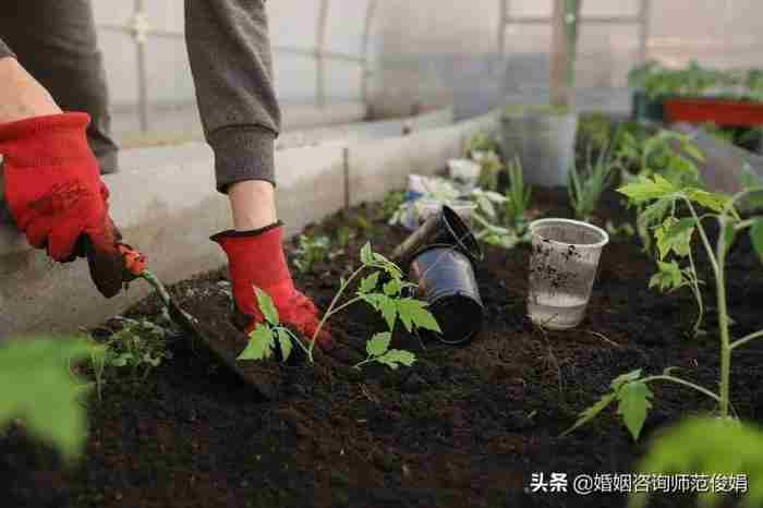怎么挽回死心了坚决离婚的老婆?