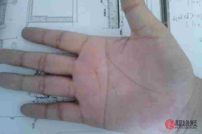 断掌纹的男人(双手断掌纹的男人命运怎么样)