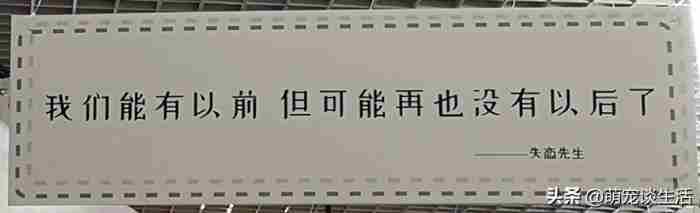 写给既将毕业前男友的句子 祝福前任的话语